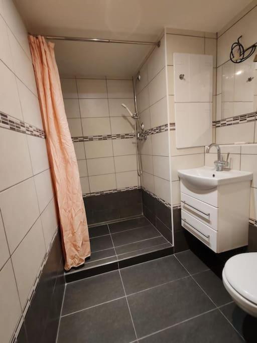 Apartment Star Brno With Terrace 5 Komín Екстериор снимка