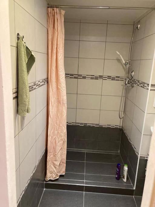Apartment Star Brno With Terrace 5 Komín Екстериор снимка